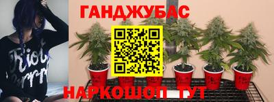 прущий лед Кандалакша