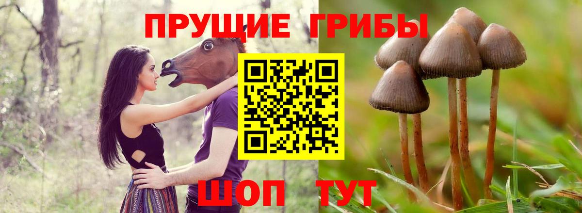 Псилоцибиновые грибы Cubensis  Вход с VPN  Псилоцибиновые грибы прущие грибы  Краснодар 